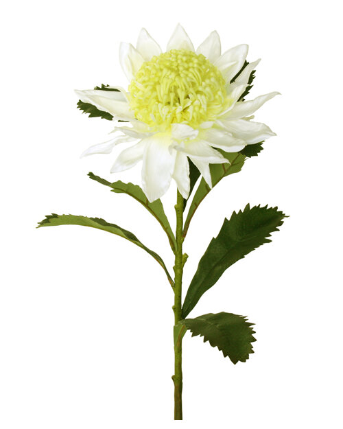 #artificialflowers #fakeflowers #decorflowers #fauxflowers#cream