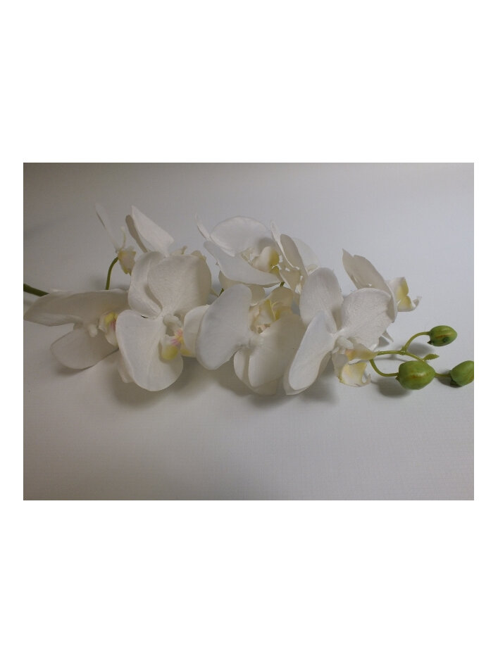 #artificialflowers #fakeflowers #decorflowers #fauxflowers#silk#orchid#plant#