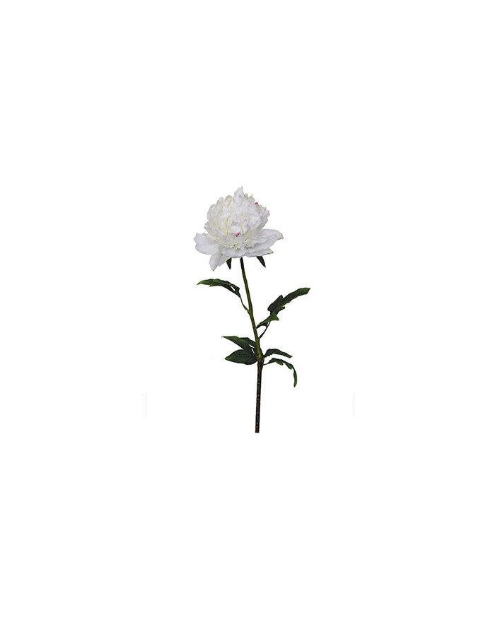 #artificialflowers #fakeflowers #decorflowers #fauxflowers#white#peony