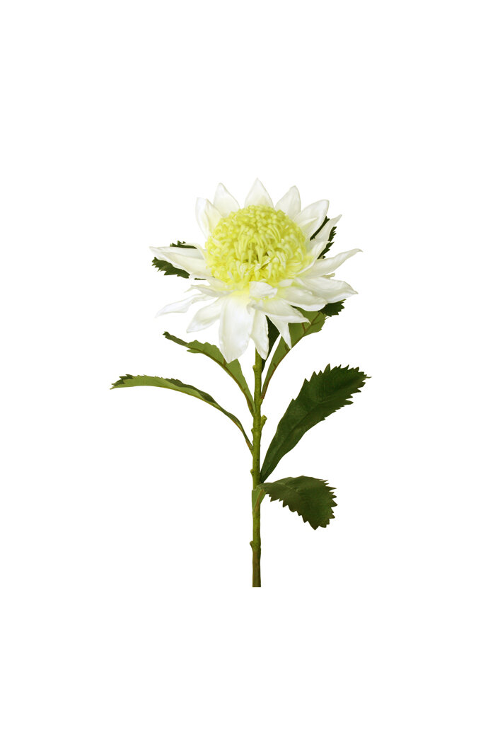 #artificialflowers #fakeflowers #decorflowers #fauxflowers#cream
