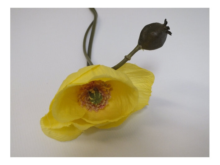 #artificialflowers #fakeflowers #decorflowers #fauxflowers#silk#poppy#yellow#