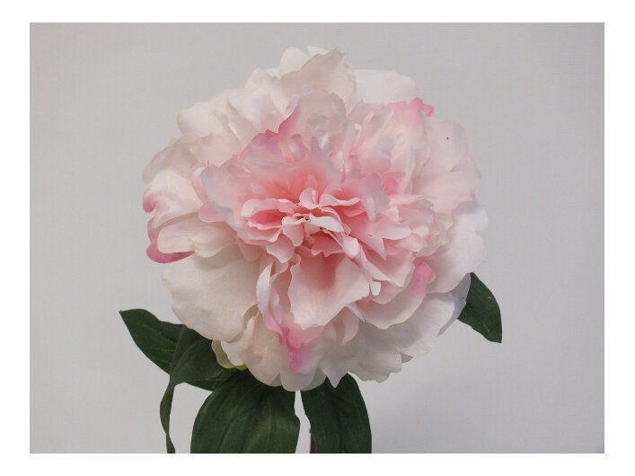 #artificialflowers #fakeflowers #decorflowers #fauxflowers#silk#pink
