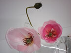 #artificialflowers#fakeflowers#decorflowers#fauxflowers#flower#poppies#pink