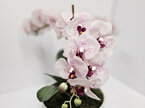 #artificialflowers#fakeflowers#decorflowers#fauxflower#phale#orchid#pink