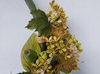 #artificialflowers#fakeflowers#decorflowers#fauxflowers#wreath#green#rustic