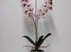 #artificialflowers#fakeflowers#decorflowers#fauxflowers#orchid#pink#silver