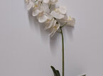 #artificialflowers#fakeflowers#decorflowers#fauxflowers#orchid#white#plant#flowe