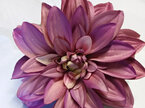 #artificialflowers#fakeflowers#decorflowers#fauxflowers#dahlia#dark#mauve