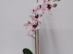 #artificialflowers#fakeflowers#decorflowers#fauxflowers#orchid#pink#sandy#cerami