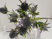 #artificialflowers#fakeflowers#decorflowers#fauxflower#stem#seaholly#thistle#pur