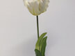 #artificialflowers#fakeflowers#decorflowers#fauxflowers#silkflowers#tulip#white