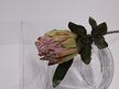 #artificialflowers#fakeflowers#decorflowers#fauxflowers#protea#leucodendrum#gree