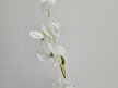 #artificialflowers#fakeflowers#decorflowers#fauxflower#stem#sweetpea#white