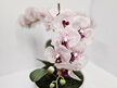 #artificialflowers#fakeflowers#decorflowers#fauxflower#phale#orchid#pink