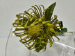 #artificialflowers#fakeflowers#decorflowers#fauxflowers#protea#leucodendrum#gree