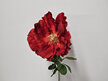 #artificialflowers#fakeflowers#decorflowers#fauxflowers#stem#peony#flower#red