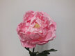 #artificialflowers#fakeflowers#decorflowers#fauxflowers#silk#peony#pink