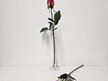 #artificialflowers#fakeflowers#decorflowers#fauxflower#stem#rose#bud#hotpink