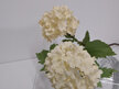 #artificialflowers#fakeflowers#decorflowers#fauxflower#stem#snowball#viburnum#wh