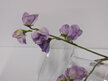 #artificialflowers#fakeflowers#decorflowers#fauxflower#stem#sweetpea#lilac