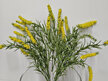 #artificialflowers#fakeflowers#decorflowers#fauxflower#bush#hebe#yellow