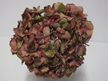 #artificialflowers#fakeflowers#decorflowers#fauxflowers#hydrangrea#posy#pink#dri