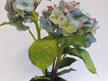 #artificialflowers#fakeflowers#decorflowers#fauxflowers#potted#hydrangea#antique