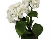#artificialflowers#fakeflowers#decorflowers#fauxflowers#hydrangea#white