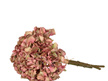 #artificialflowers#fakeflowers#decorflowers#fauxflowers#posy#driedlook#hydrangea