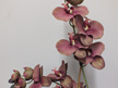 #artificialflowers#fakeflowers#decorflowers#fauxflowers#silkflowers#orchid#purpl