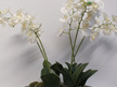#artificialflowers#fakeflowers#decorflowers#fauxflowers#orchid#white