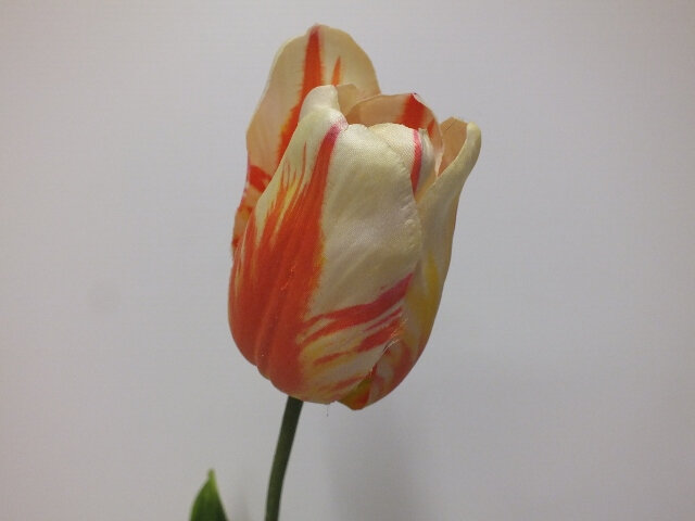 #artificialflowers#fakeflowers#decorflowers#fauxflowers#silk#tulip#cream#orange