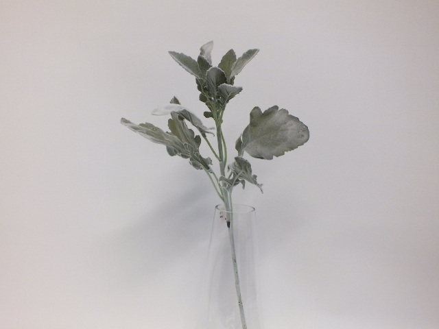 #artificialflowers#fakeflowers#decorflowers#fauxflowers#silk#dustymiller#grey