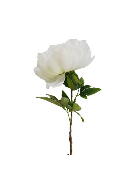 #artificialflowers#fakeflowers#decorflowers#fauxflowers#peony#giant#white#white
