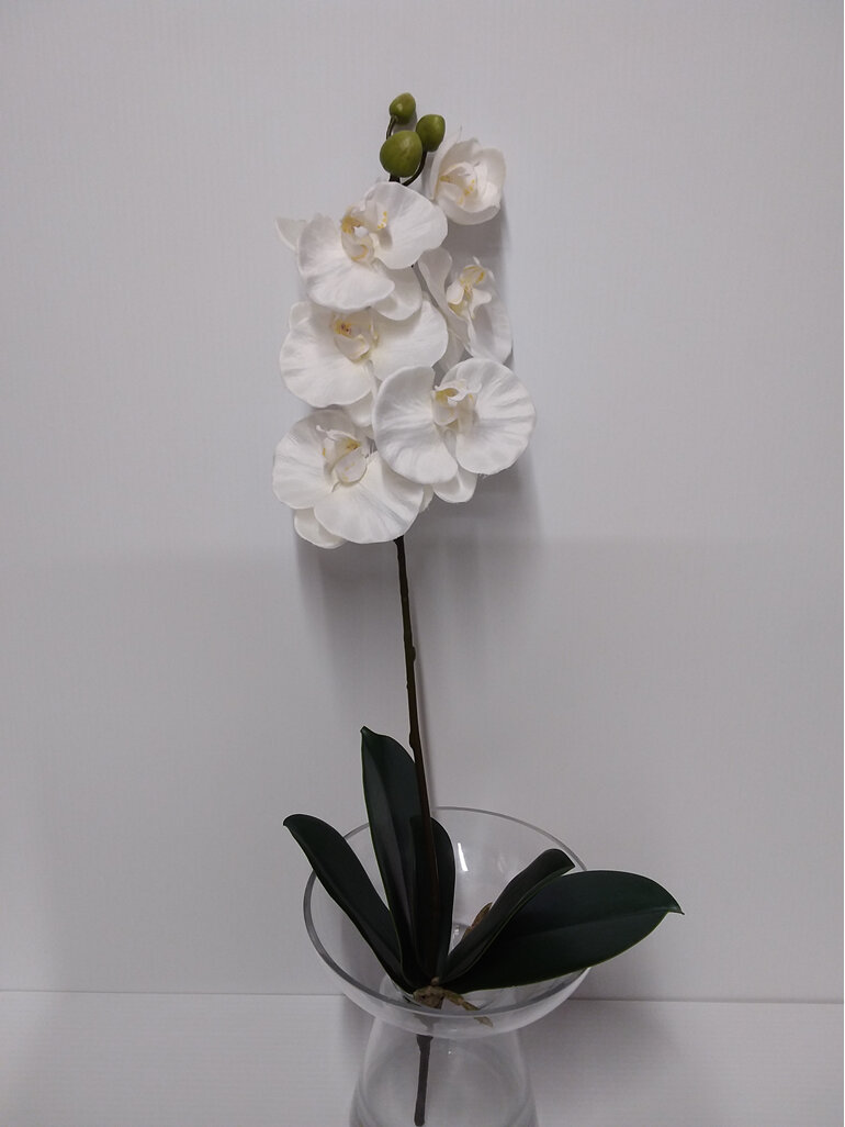 #artificialflowers#fakeflowers#decorflowers#fauxflowers#orchid#plant#flower#whit