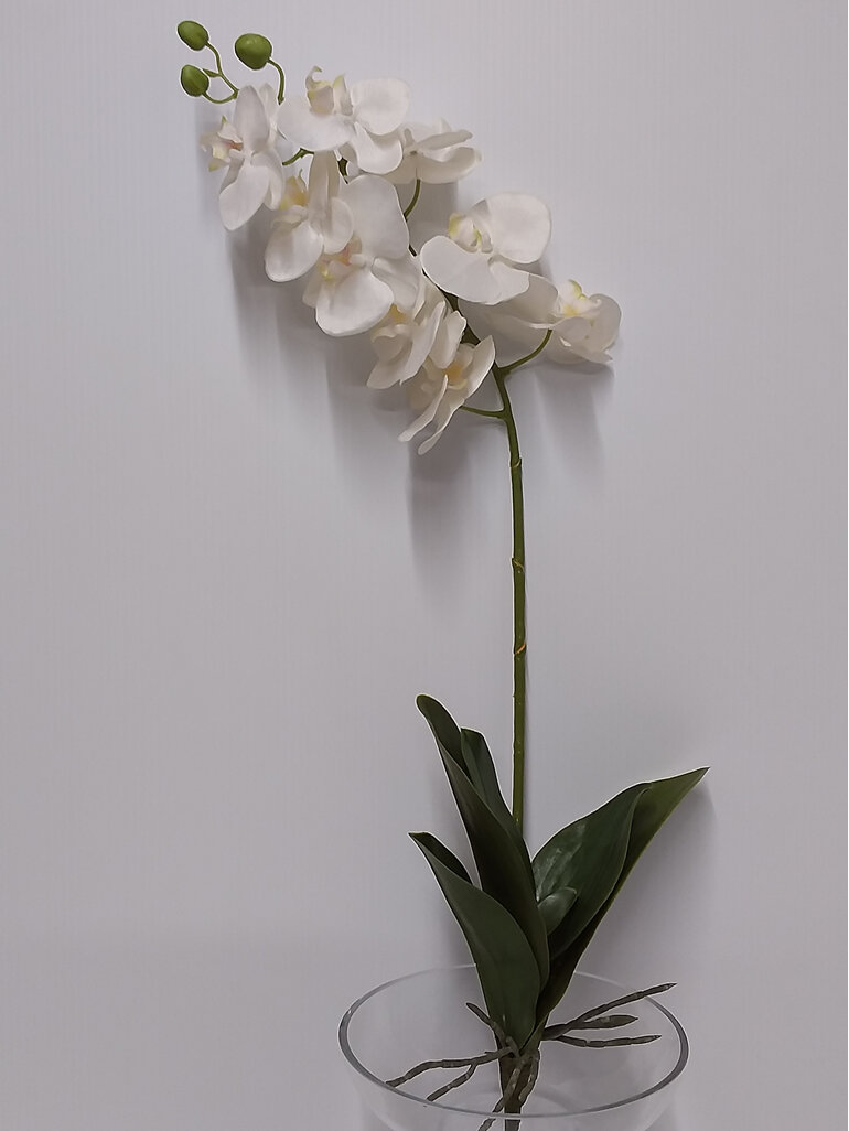 #artificialflowers#fakeflowers#decorflowers#fauxflowers#orchid#white#plant#flowe