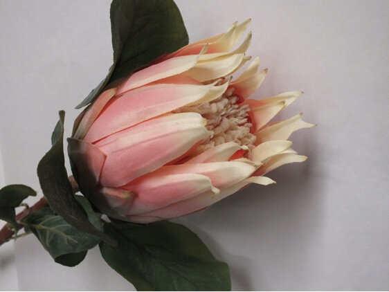 #artificialflowers#fakeflowers#decorflowers#fauxflowers#kingprotea#pink