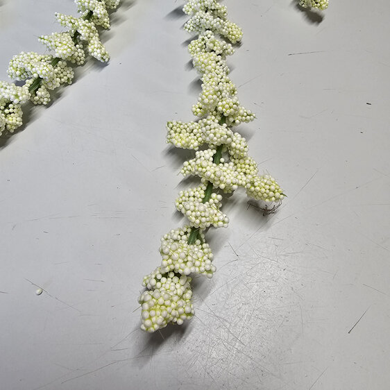 #artificialflowers#fakeflowers#decorflowers#fauxflowers#amaranthus#hanging#white