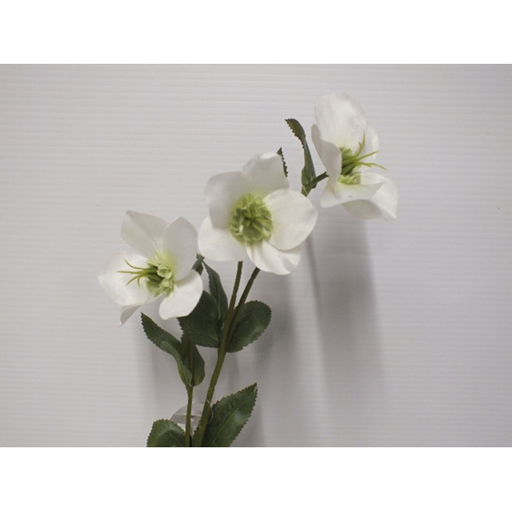 #artificialflowers#fakeflowers#decorflowers#fauxflowers#silk#helleore#white