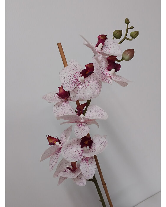 #artificialflowers#fakeflowers#decorflowers#fauxflowers#silk#orchid#plant