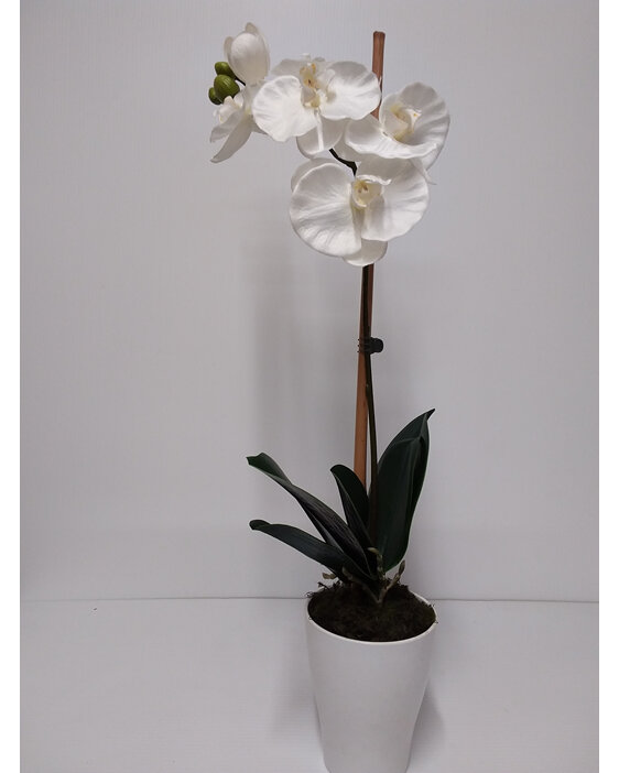 #artificialflowers#fakeflowers#decorflowers#fauxflowers#greenery#orchid#plant