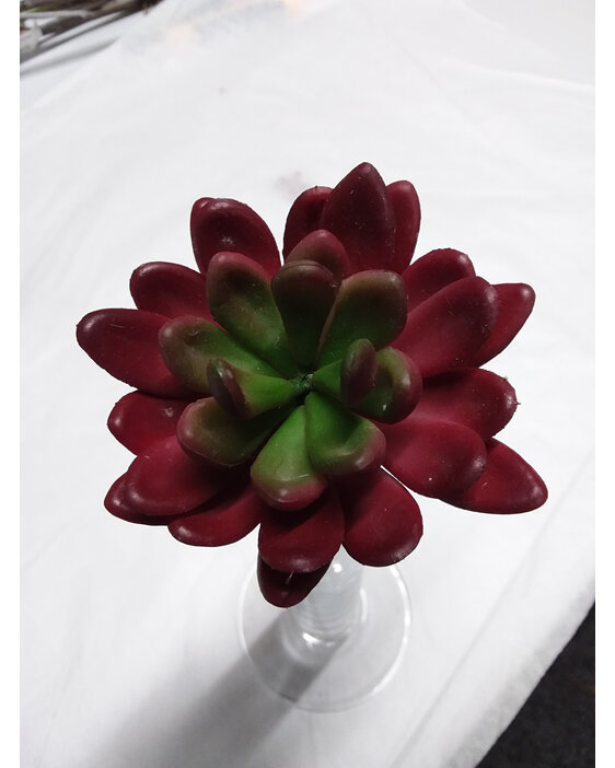 #artificialflowers#fakeflowers#decorflowers#fauxflower#succuent#green#red