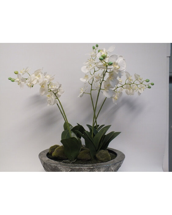 #artificialflowers#fakeflowers#decorflowers#fauxflowers#orchid#white