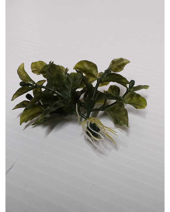 #artificialflowers#fakeflowers#decorflowers#fauxflowers#aquatic#water#weed