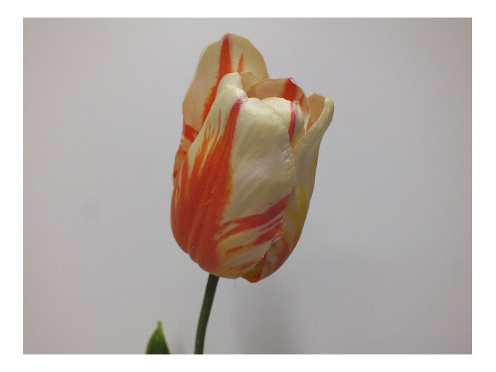 #artificialflowers#fakeflowers#decorflowers#fauxflowers#silk#tulip#cream#orange