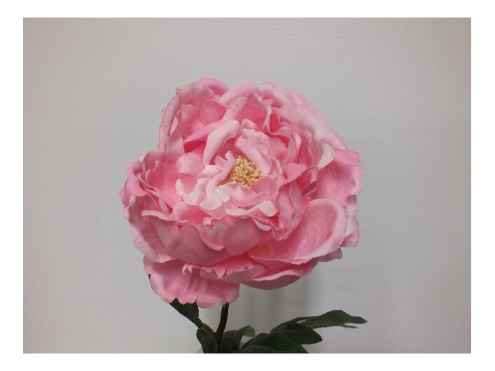 #artificialflowers#fakeflowers#decorflowers#fauxflowers#silk#peony#pink