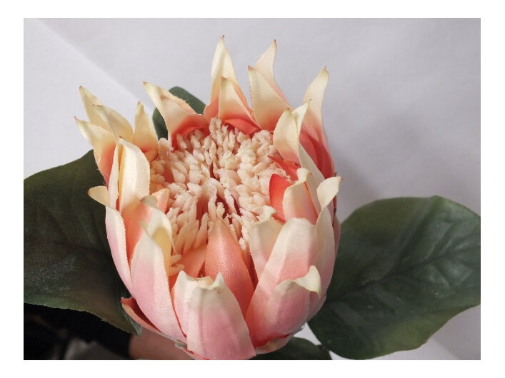 #artificialflowers#fakeflowers#decorflowers#fauxflowers#kingprotea#pink