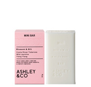 Ashley & CO MiniBar Blossom & Glit