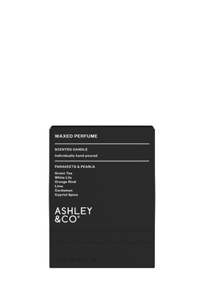 Ashley & CO Wax Perfume Parakeets & Pearls