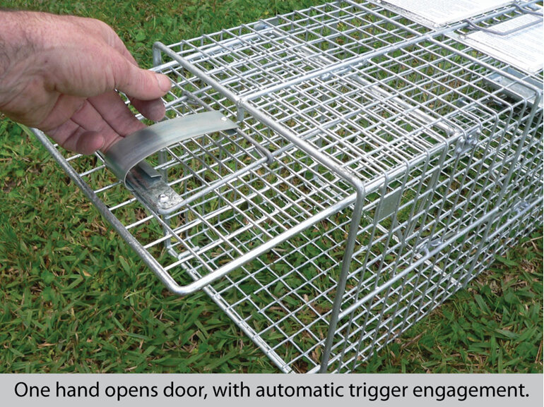 Automatic setting cage trap